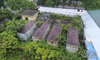 Rừng rậm bao phủ công trình tiền tỷ 10 năm hoang tàn giữa Hà Nội