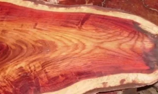 Vì sao đại gia sẵn sàng chi tiền tỷ mua gỗ sưa?