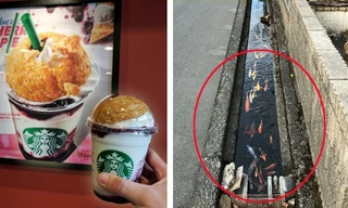 Loạt hình ảnh chứng minh Nhật Bản chẳng giống quốc gia nào