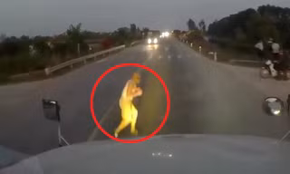 Cụ ông sang đường như trong sân nhà và cú phanh thần thánh của contain