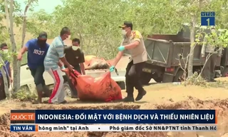 Chôn tập thể 1300 nạn nhân sau thảm họa kép, Indonesia đối mặt ô nhiễm