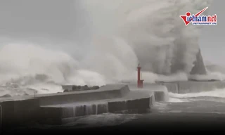 Nhật Bản oằn mình gánh siêu bão Trami có sức gió cuốn bay mọi thứ