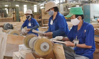 Ngành chế biến lâm sản đang thiếu nguồn nhân lực chất lượng cao
