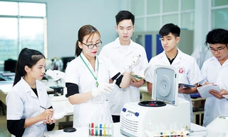 11 nhóm ngành đào tạo ĐH của Việt Nam lọt top thế giới