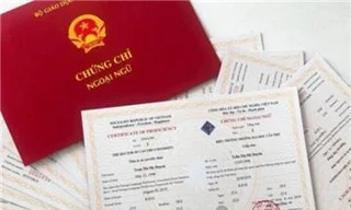 Bộ trưởng Bộ GD&ĐT Phùng Xuân Nhạ tiếp xúc cử tri tại Bình Định ngày 26/11. Ảnh Trương Định