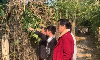 Nghĩa trang và khu đất quy hoạch của ĐH Tây Bắc chỉ cách nhau con ngõ nhỏ.