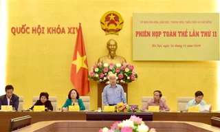 Phiên họp toàn thể lần thứ 11 - Ảnh báo Người đại biểu