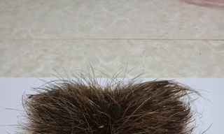 Người dân phát hiện 'vật thể lạ' trong bụng lợn nái hơn 100kg