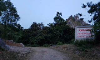 Ngang nhiên chặt phá rừng đặc dụng giữa thành phố