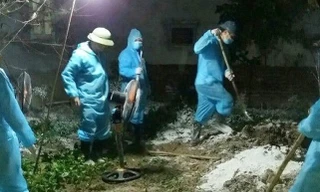 Dịch tả lợn châu Phi lan sang huyện thứ 2 ở Thanh Hóa