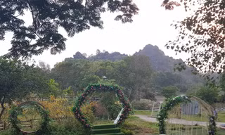 Cưỡng chế thu hồi đất xây dựng đường lên động Tiên Sơn