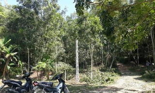 Hiện trường thi công đường điện