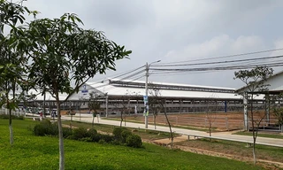 Khánh thành trang trại số 1 tổ hợp trang trại bò sữa công nghệ cao