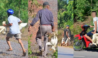 Tài xế lên tiếng vụ hàng trăm người dân 'hôi vịt' trị giá gần 200 triệu đồng