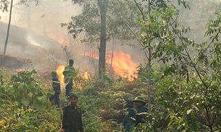 Gần 10 ha rừng thông của người dân Thanh Hóa bị thiêu rụi