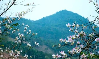 Nở rộ tour du lịch Điện Biên 