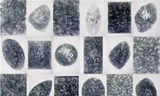 Tác phẩm "Thời gian" của hoạ sĩ Phạm Hùng Anh bị mất 