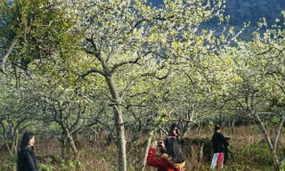 Chung tay xây dựng sản phẩm du lịch kích cầu Tây Bắc