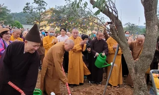Hàng ngàn cây xanh trong khuôn viên Học viện Phật giáo Việt Nam