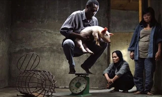 Bộ Văn hóa phạt nhà sản xuất phim "Vị" 35 triệu đồng