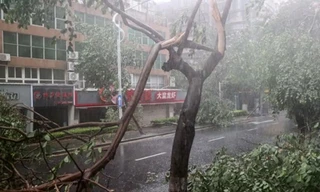 Bão Doksuri bất ngờ tăng cường độ dữ dội khi tiến vào Trung Quốc