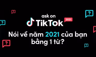 Lướt TikTok mỗi ngày nhưng bạn có chắc "nằm vùng" hết loạt xu hướng này?