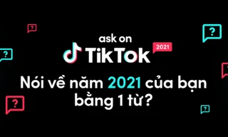 Lướt TikTok mỗi ngày nhưng bạn có chắc "nằm vùng" hết loạt xu hướng này?