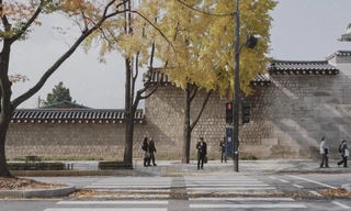 Lịm tim với bộ ảnh Bản tình ca mùa Thu ở Hàn Quốc, xem xong phải thốt lên: "Quá đẹp!"