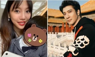 Vương Lực Hoành bất ngờ “quay xe”, xin lỗi như vợ cũ yêu cầu, tuyên bố tạm dừng làm việc