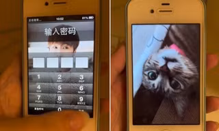Cô gái đợi 10 năm để mở lại chiếc iPhone bị vô hiệu hóa, lý do rất xúc động