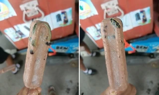 Thái Lan: Khách “lạnh người" vì phát hiện trong cây kem có con rắn đông đá