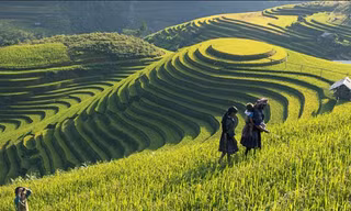 Báo nước ngoài nêu 9 nơi có cảnh đẹp nhất ở Việt Nam, nhất định nên ghé thăm