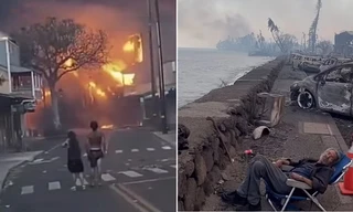 Cảnh tượng cháy rừng ở Hawaii như Ngày Tận thế, nhiều người phải nhảy xuống biển trốn lửa