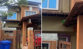 Dặn shipper đặt bưu phẩm ở "chỗ cao để tránh con mèo", kết quả không thể ngờ