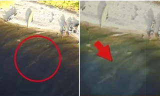 Lại dấy lên tranh cãi về “quái vật hồ Loch Ness” khi hình ảnh lạ được ghi lại từ trên cao