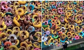 Cảnh tượng đông nghẹt trong công viên nước ở Trung Quốc khiến nhiều người rùng mình