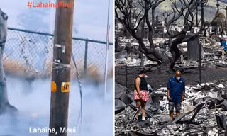Xuất hiện video là bằng chứng chỉ ra "thủ phạm" gây thảm họa cháy rừng ở Maui?