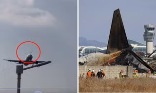Video máy bay của Trung Quốc va phải chim làm dấy lên câu hỏi về vụ Jeju Air