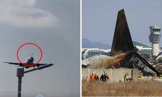 Video máy bay của Trung Quốc va phải chim làm dấy lên câu hỏi về vụ Jeju Air