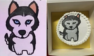 Người mua bất mãn vì đặt bánh hình chú chó “dữ tợn” mà nhận bánh hình chú chó hiền lành