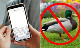 iPhone sẽ ngừng tự thay thế một từ rất phổ biến, tại sao ai cũng buồn cười?