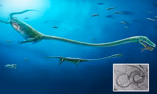 Phát hiện hóa thạch của loài sinh vật bí ẩn, cho thấy con rồng là có thật từ cổ xưa?