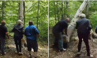 Người chặt cây trong rừng bị “quả báo” tức thì, dân mạng nói: “Đừng đùa với thiên nhiên”