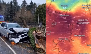 Video máy bay chao đảo khi bão Debi đổ bộ, là "cơn bão dữ dội nhất tính đến giờ”