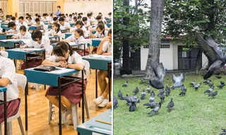 Singapore: Học sinh thi tốt nghiệp THCS than phiền khi bài thi đánh đố thí sinh