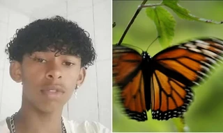 Brazil: Học theo mạng, nam sinh đưa con bướm vào người gây hậu quả nghiêm trọng