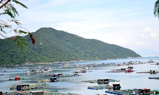 Tỉnh thừa nhận sai sót