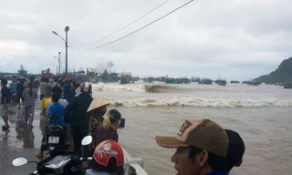 Nhiều tàu cá ở đảo Thổ Châu bị đánh chìm do ảnh hưởng bão số 1