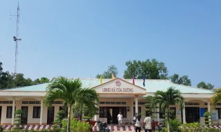 Cách chức Phó Chủ tịch xã ở Phú Quốc vừa thi tốt nghiệp THPT