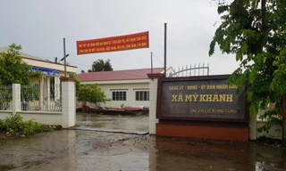 Bí thư xã ở Cần Thơ đi kiểm tra dịch tả lợn... ở Côn Đảo